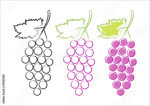 Fototapeta Grape icons on white background
