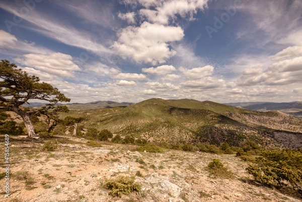 Obraz landscape with sky