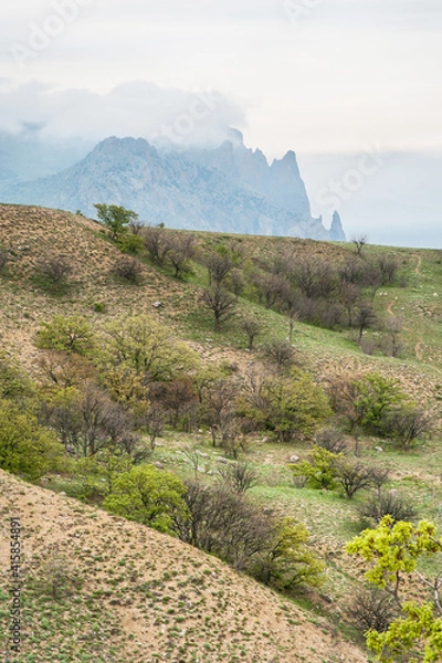 Fototapeta view from the hill