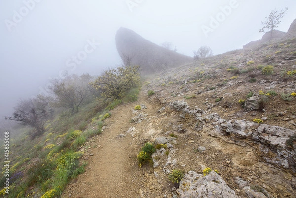 Fototapeta path in the mountains