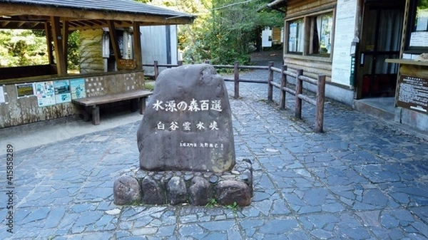 Fototapeta 屋久島 白谷雲水峡 太鼓岩 屋久杉 国立公園 鹿児島