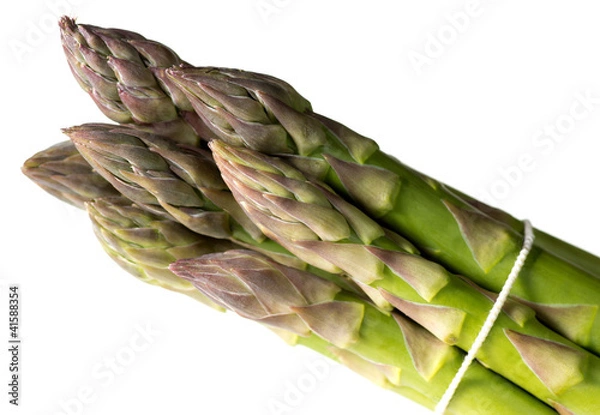 Obraz Asparagus