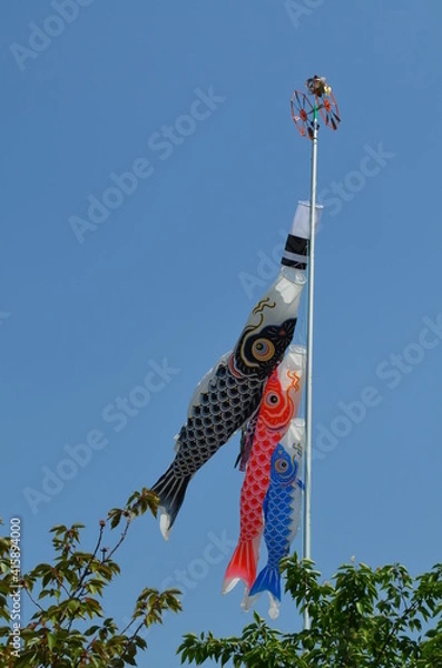 Fototapeta koinobori