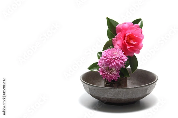 Fototapeta 和風に活けた山茶花と菊の花