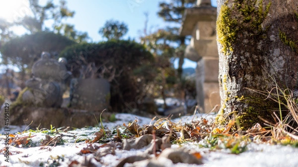 Obraz 日本の庭の積雪風景