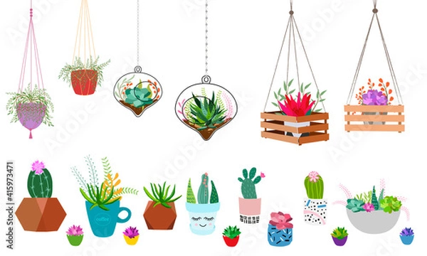 Fototapeta Set of indoor plants in pots for home and office. A large collection of cute houseplants in pots including cacti, aloe and other succulents. Vector collection of doodle plants.