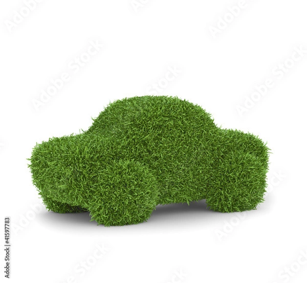 Obraz Grass covered car