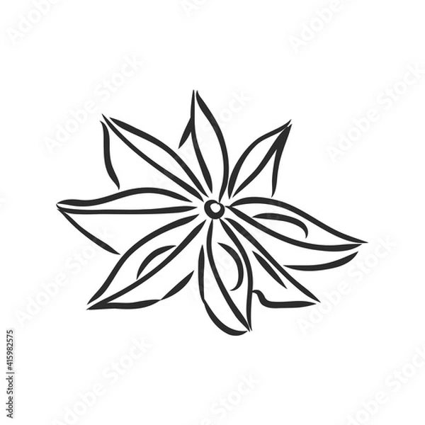 Fototapeta Vector line drawing handmade star anise isolated on white background. sketches of spices