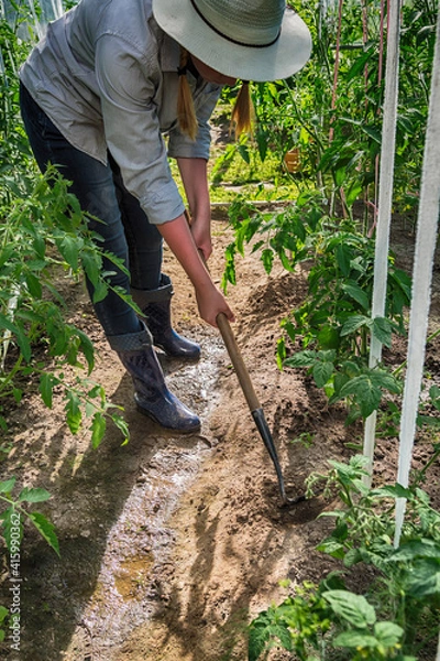 Fototapeta Agriculture, gardening. Girl gen z planted tomato seedlings in a greenhouse. Hobbies, remote work in quarantine in a virus. Slow life, digitally detox. Agriculture background