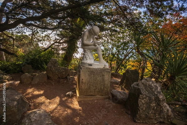 Fototapeta Yalta, Crimea, November 25, 2020, walk through the Nikitsky Botanical Garden, views of trees, flowers, palm trees
