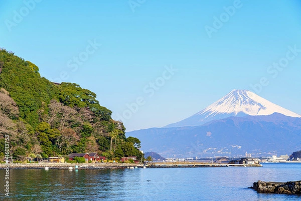 Fototapeta 【静岡県】冠雪した富士山と駿河湾