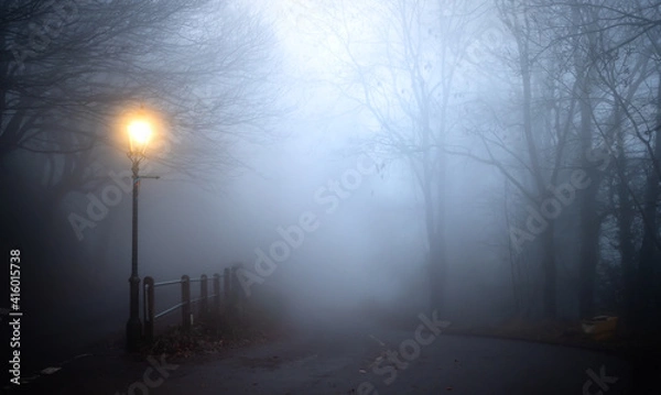 Obraz Gaslamp on a fog covered road at dawn.  Dead winter trees create silhouettes along the road