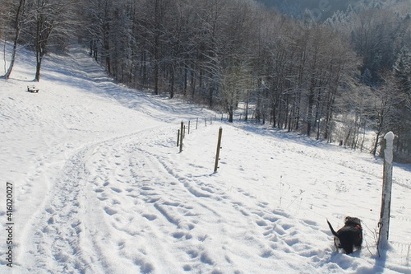 Obraz zugeschneiter Weg