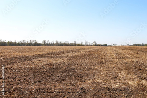 Obraz Plowed field and good weather