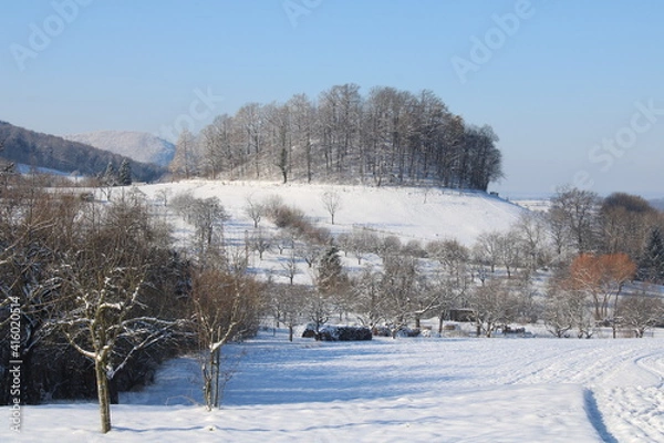 Obraz Hügelkuppe im Winter