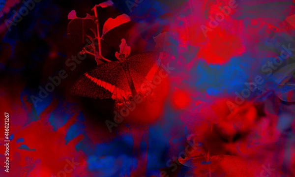 Fototapeta background