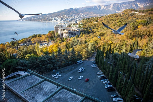 Fototapeta Yalta, Crimea, November 24, 2020, view of the city, sea, mountains and gulls from the balcony of the Yalta-Intourist Hotel