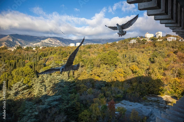 Fototapeta Yalta, Crimea, November 24, 2020, view of the city, sea, mountains and gulls from the balcony of the Yalta-Intourist Hotel