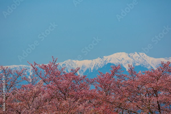 Obraz 桃源郷と南アルプス