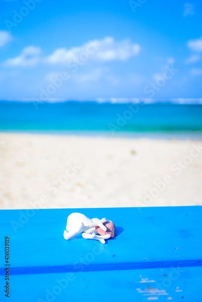 Obraz 砂浜と貝殻