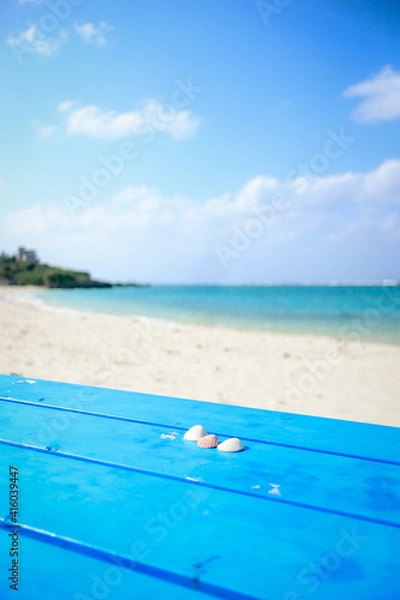 Obraz 砂浜と貝殻