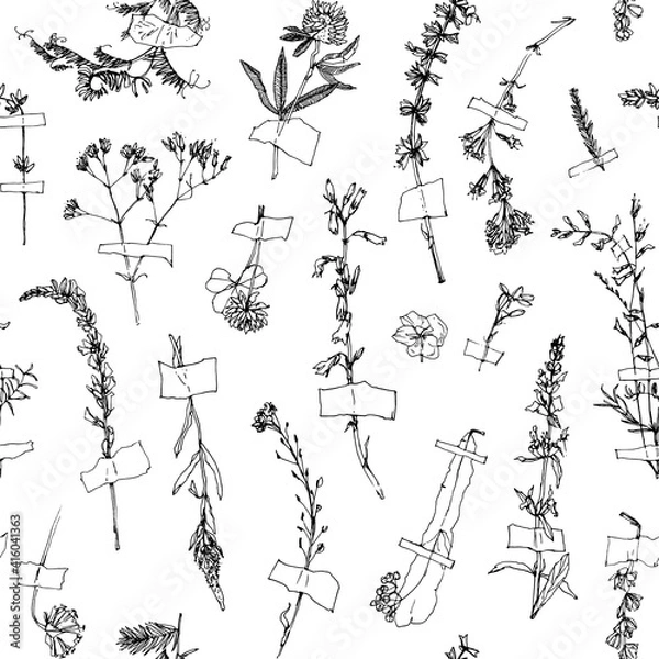 Fototapeta Herbarium. Vector seamless pattern with wild flowers. Vector hand drawn illustration on white background.