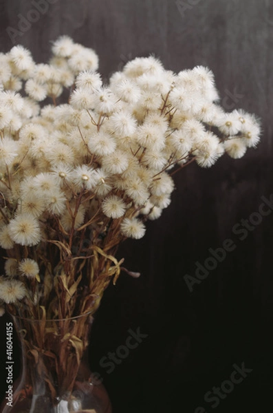 Obraz fluffy dried flowers