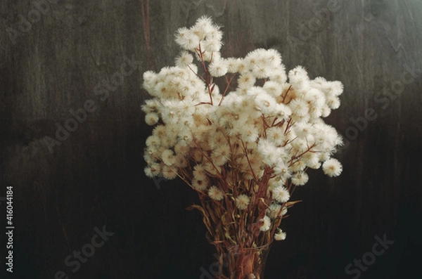 Obraz fluffy dried flowers
