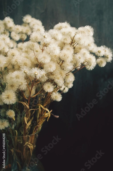 Obraz fluffy dried flowers
