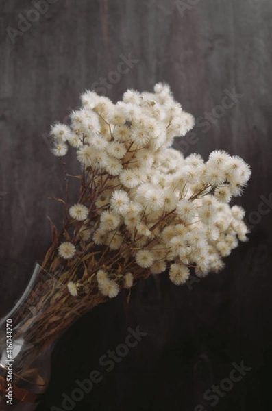 Obraz fluffy dried flowers