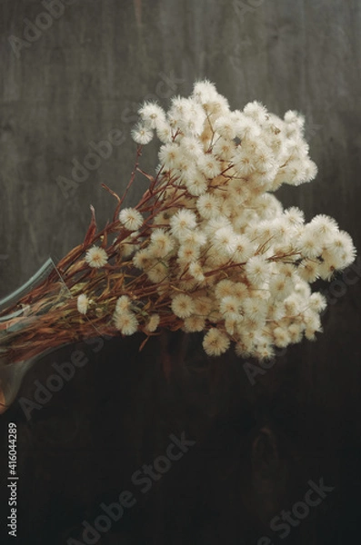 Obraz fluffy dried flowers