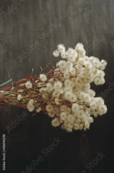 Obraz fluffy dried flowers