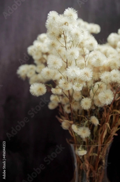 Obraz fluffy dried flowers
