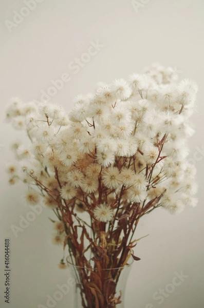 Obraz fluffy dried flowers