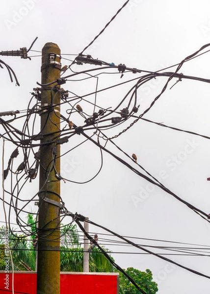 Fototapeta power lines on a pole