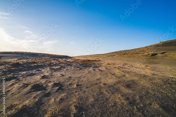 Fototapeta 晴れた日の中田島砂丘