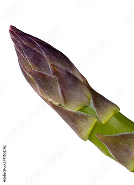 Obraz Stalk of asparagus