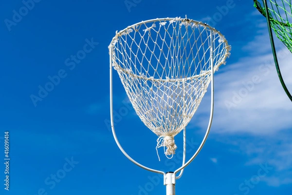 Obraz 運動会,玉入れ