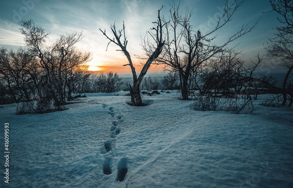 Obraz sunset in winter