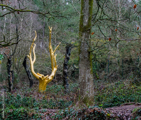 Obraz Brittany, France; February 17, 2021: the golden tree of the magical forest of Brocéliande at the entrance of the Val sans retour, Tréhorenteuc in the Morbihan.