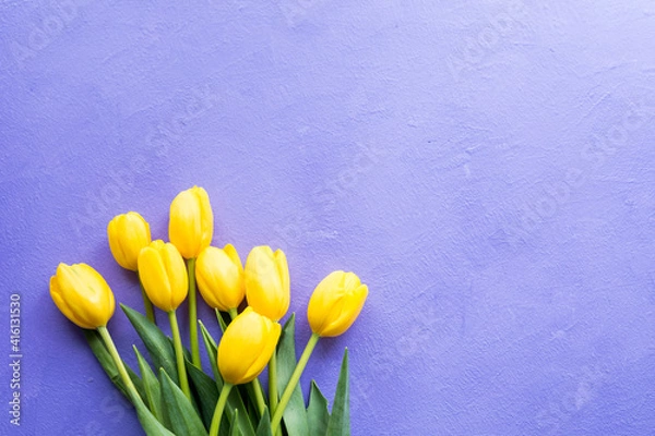 Fototapeta Yellow tulips on purple violet background. Spring easter concept. Copy space. Greeting card. 