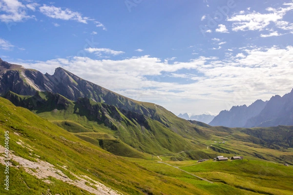 Fototapeta The Grindewald Valley in Switzerland on a sunny day