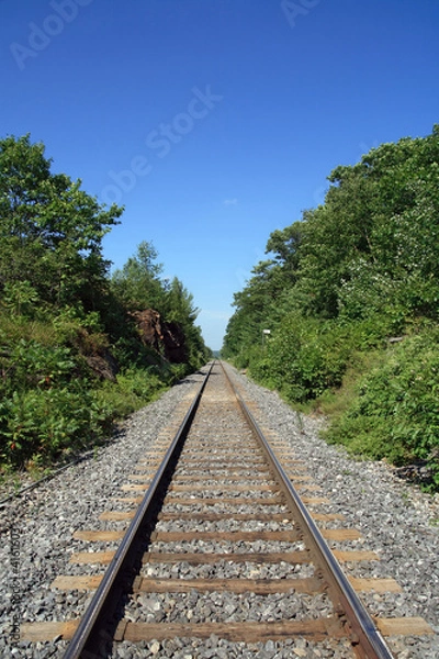 Fototapeta Railway track crossing the wood