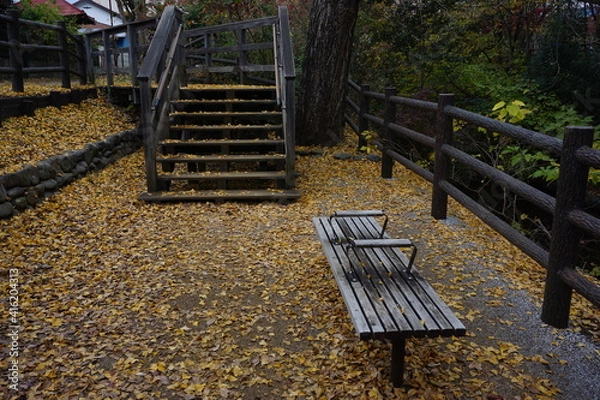 Fototapeta 遊歩道脇のベンチ