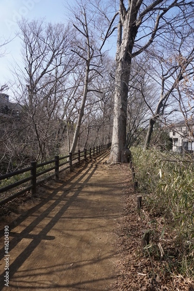 Obraz 冬の遊歩道