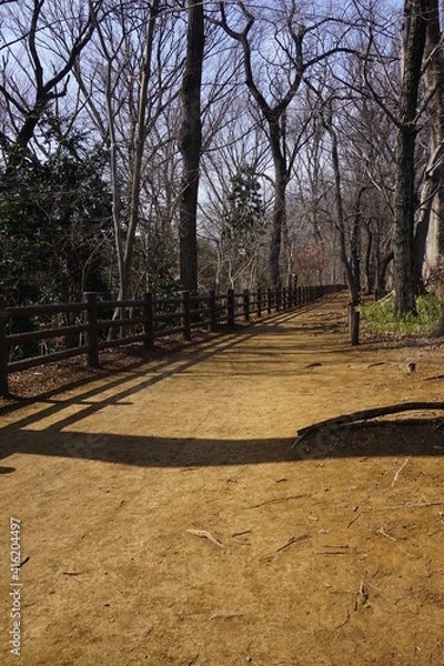 Obraz 冬の日差しの玉川上水横の遊歩道