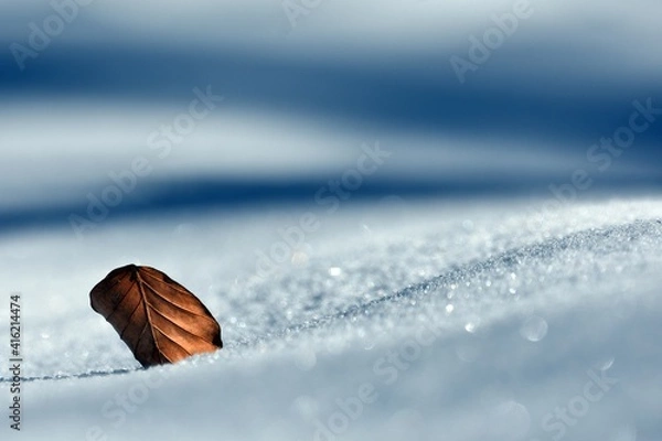 Obraz liśc i minimalizm