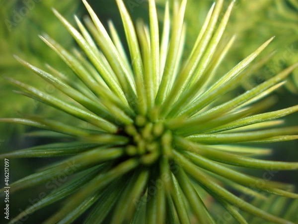 Obraz OLYMPUS DIGITAL CAMERA