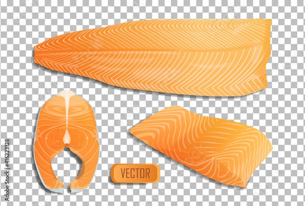 Obraz Vector fish salmon fillet and steak. Realistic illustration isolated on transparent background