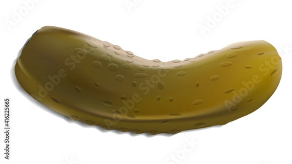 Obraz Homemade Pickled Gherkin or Cucumber Isolated on White Background. Realistic Vector Illustration of Marinated Food